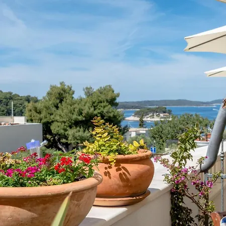 Guest house Mili 3*