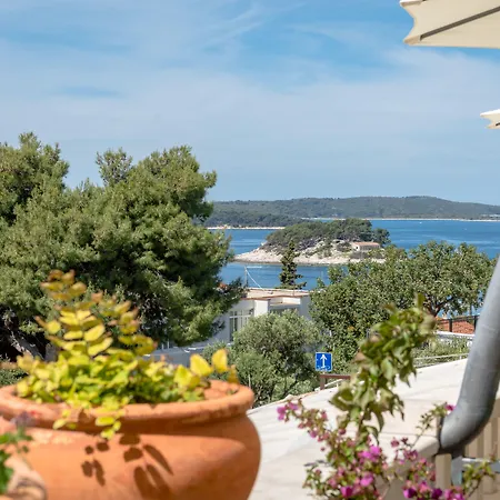Mili 招待所